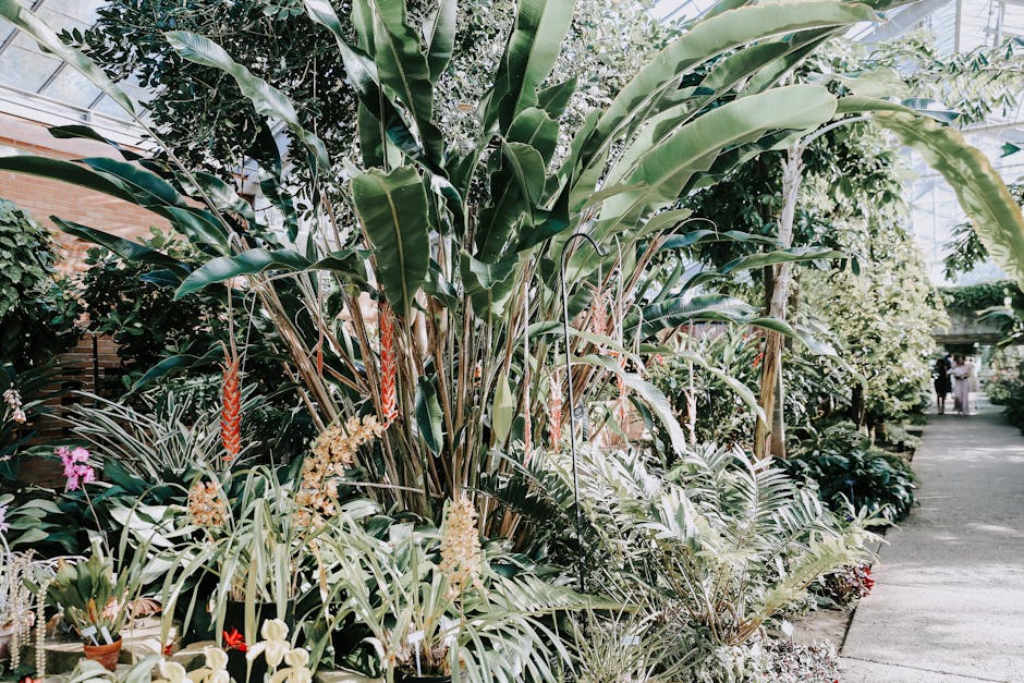 Exotic Flora botanical wallpaper pattern featuring a mirror symmetry of vibrant tropical plants in a sunlit greenhouse. — base photo: A breathtaking view inside a sun-drenched tropical greenhouse, teeming with a diverse collection of 