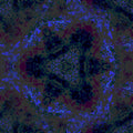 Seamless hex wallpaper pattern — Astronomy by wallpaper⁶