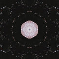 WALLPAPER⁶ — seamless kaleidoscope pattern from klein bottle, Topology