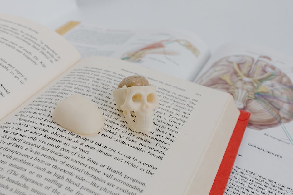 Seamless mirror wallpaper pattern — Medicine by wallpaper⁶ — base photo: An open book with an anatomical skull model placed on top, surrounded by anatomical diagrams.