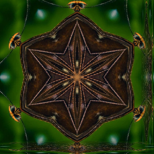 Entomology Kaleidoscope wallpaper pattern