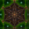 Entomology Kaleidoscope wallpaper pattern