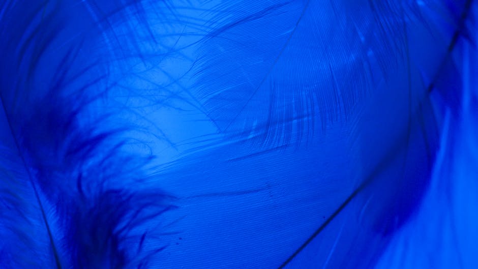 Seamless kaleidoscope wallpaper pattern — Calligraphy by wallpaper⁶ — base photo: Macro shot of a vibrant blue feather showcasing detailed textures and patterns.