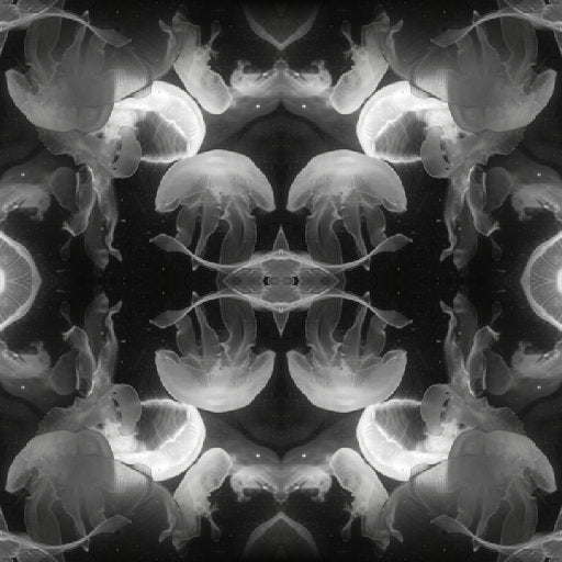A beautiful pattern of jellyfish swimming in water, created using mirror symmetry, for wallpaper⁶.