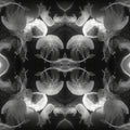 A beautiful pattern of jellyfish swimming in water, created using mirror symmetry, for wallpaper⁶.
