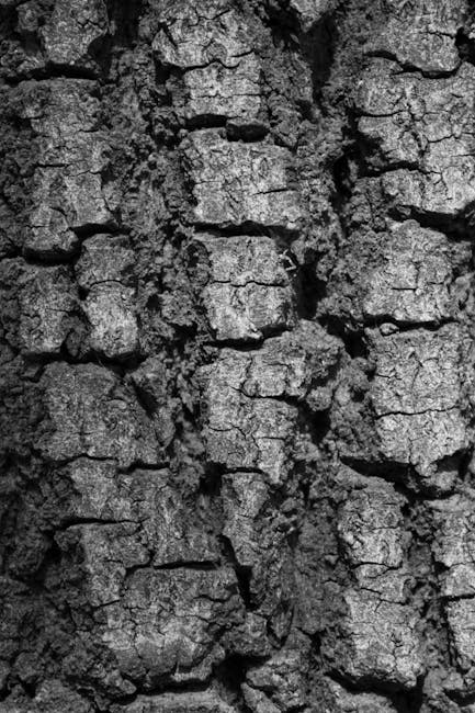 Seamless mirror wallpaper pattern — Origami by wallpaper⁶ — base photo: Detailed black and white image of tree bark texture showing intricate patterns.
