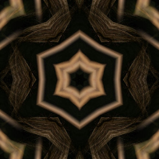 Portraits Kaleidoscope wallpaper pattern