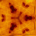 Chemistry Hexagon wallpaper pattern