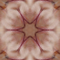 Emotions Kaleidoscope wallpaper pattern