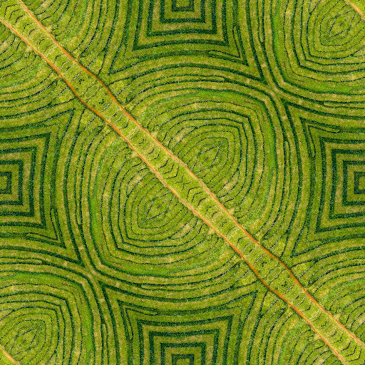 Emotions Diamond wallpaper pattern