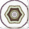 An abstract design with fractal-like patterns radiating outwards in a symmetrical kaleidoscope style, inspired by acrylic paint textures.