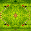 Seamless chevron wallpaper pattern — Origami by wallpaper⁶