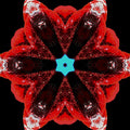 Seamless kaleidoscope wallpaper pattern — Biochemistry by wallpaper⁶