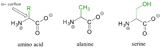 Seamless mirror wallpaper pattern — Biochemistry by wallpaper⁶ — base photo: File:An amino acid components - an ammonium group, an alpha-carbon, and a carboxylate, and a variabl