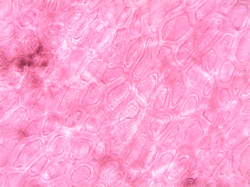 Biology Hexagon wallpaper pattern — base photo: A vibrant and abstract close-up of plant cell structures under a microscope.