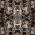 Statistics Mirror wallpaper pattern