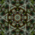 Seamless kaleidoscope wallpaper pattern — Astronomy by wallpaper⁶