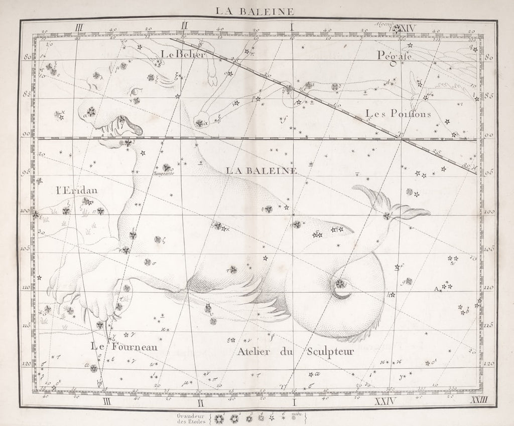 Seamless mirror wallpaper pattern — Cartography by wallpaper⁶ — base photo: General Research Division, The New York Public Library. "La baleine" The New York Public Library Dig