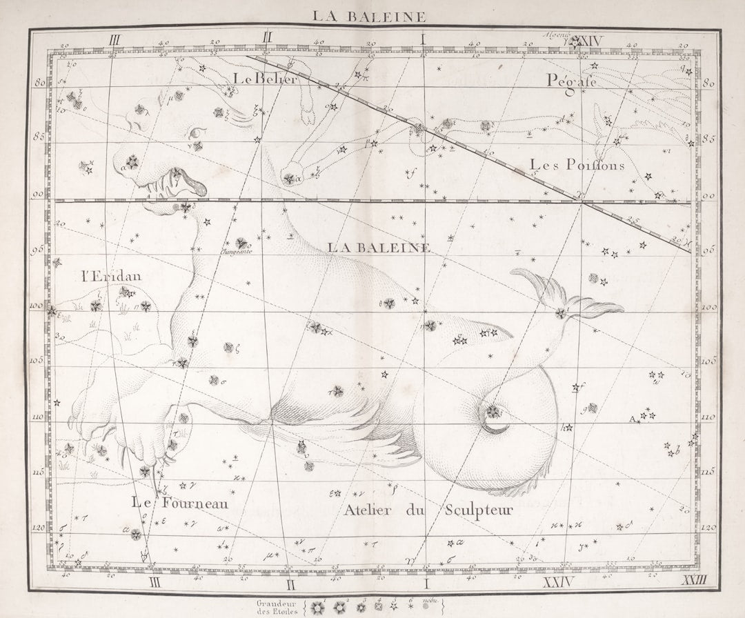 Seamless mirror wallpaper pattern — Cartography by wallpaper⁶ — base photo: General Research Division, The New York Public Library. "La baleine" The New York Public Library Dig