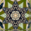 A seamless Kaleidoscope pattern of butterfly wings in orange and black, creating a radial stained-glass effect.