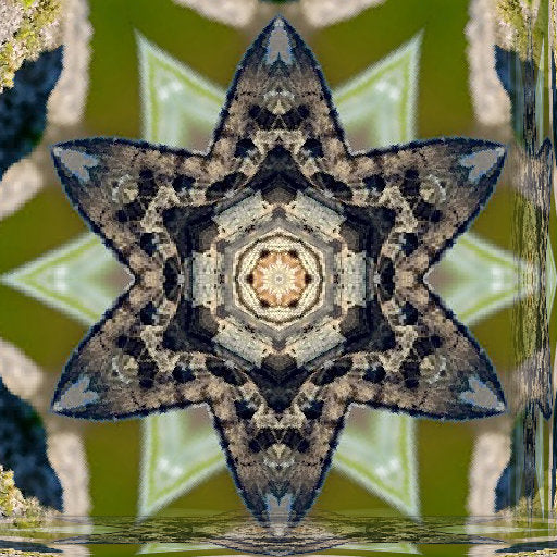 A seamless Kaleidoscope pattern of butterfly wings in orange and black, creating a radial stained-glass effect.