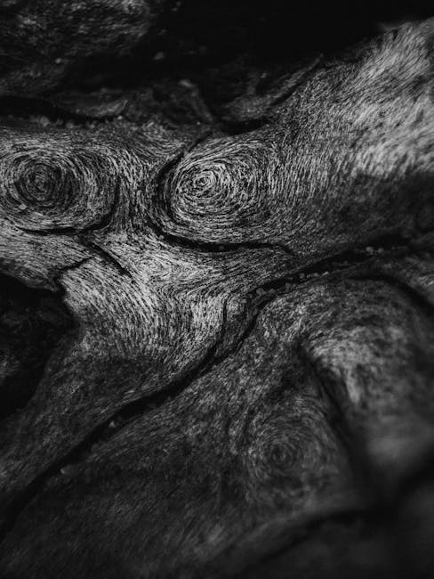 Cosmology Wave wallpaper pattern — base photo: Monochrome close-up of detailed wood grain patterns showcasing natural texture and design.
