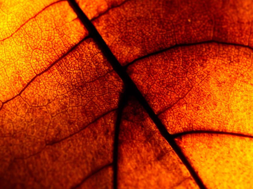 AI Art Brick wallpaper pattern — base photo: Intricate close-up of a brown leaf showcasing its texture and pattern, illuminated by autumn light.
