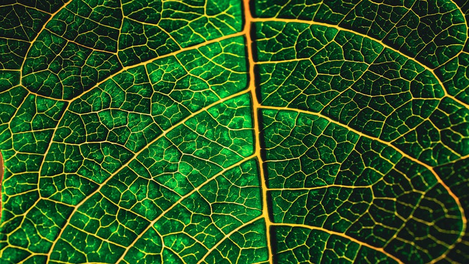 Algorithms Brick wallpaper pattern — base photo: Captivating macro shot showcasing the intricate veining of a green leaf.