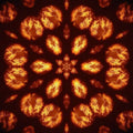 Biology Kaleidoscope wallpaper pattern