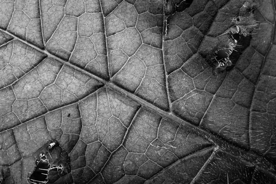 Seamless kaleidoscope wallpaper pattern — Geometry by wallpaper⁶ — base photo: Detailed black and white macro photograph of a leaf's intricate texture and veins.
