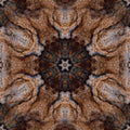 Topology Kaleidoscope wallpaper pattern