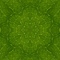 Seamless kaleidoscope wallpaper pattern — Medicine by wallpaper⁶