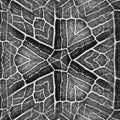 A seamless hexagonal pattern inspired by molecular chemistry bonds in a sophisticated Hex symmetry layout.