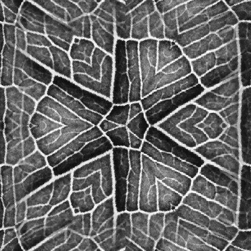 A seamless hexagonal pattern inspired by molecular chemistry bonds in a sophisticated Hex symmetry layout.