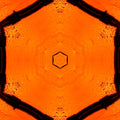 Seamless kaleidoscope wallpaper pattern — Calligraphy by wallpaper⁶