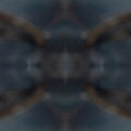 Entomology Mirror wallpaper pattern