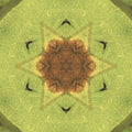 Seamless kaleidoscope wallpaper pattern — Biochemistry by wallpaper⁶