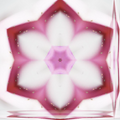 A symmetrical Kaleidoscope repeat pattern featuring vibrant pink, blue, and gold gradients inspired by a Mobius strip.