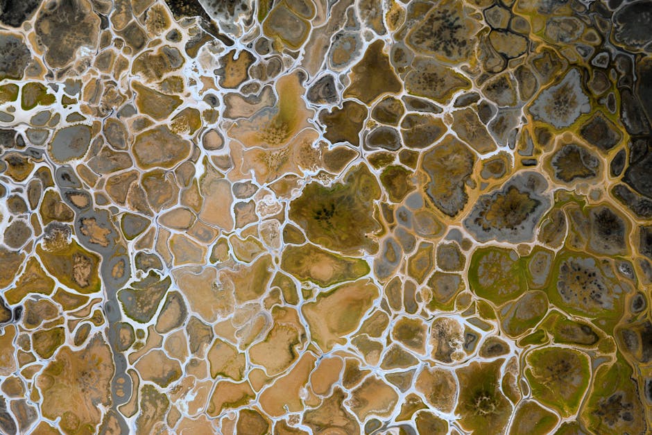 Seamless kaleidoscope wallpaper pattern — Geometry by wallpaper⁶ — base photo: A stunning aerial vista of abstract salt pans in Guaratuba, Paraná, Brazil.