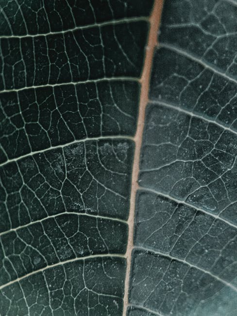 Cryptography Mirror wallpaper pattern — base photo: Detailed close-up of a leaf highlighting intricate vein patterns and lush green texture.