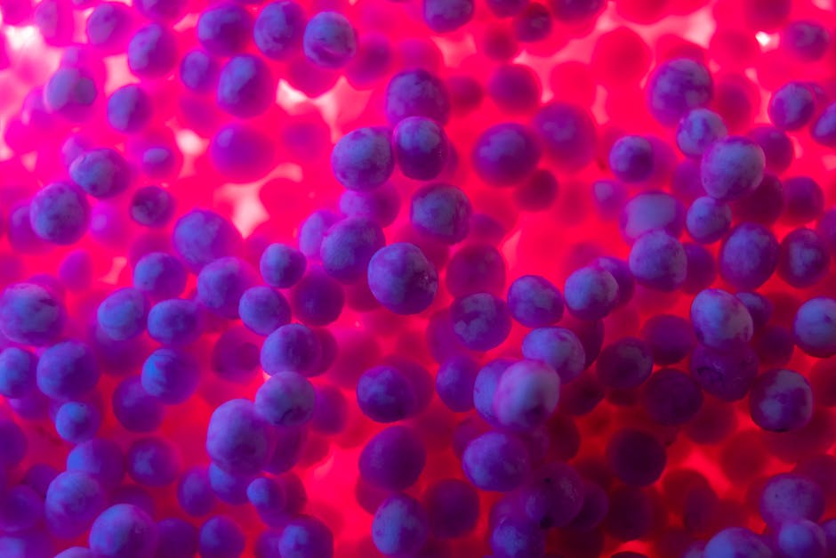 Seamless kaleidoscope wallpaper pattern — Biochemistry by wallpaper⁶ — base photo: Close-up of blueberries with a neon pink background creating a vibrant, colorful design.
