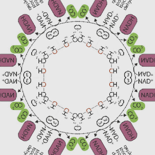 Seamless kaleidoscope wallpaper pattern — Biochemistry by wallpaper⁶