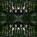 Botanics Mirror wallpaper pattern