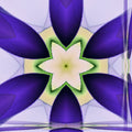 Fractals Kaleidoscope wallpaper pattern