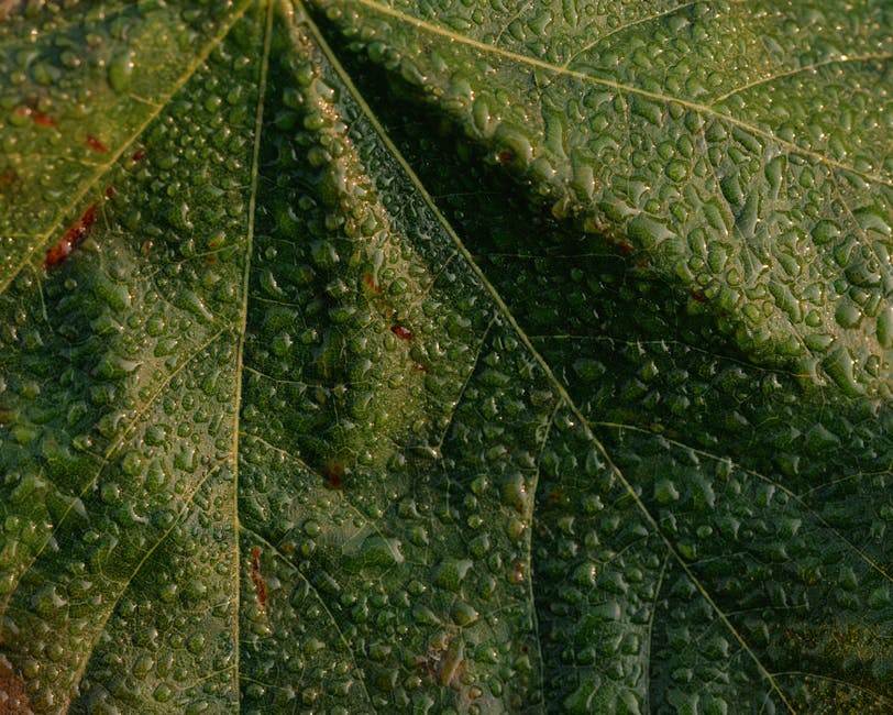 Seamless kaleidoscope wallpaper pattern — Origami by wallpaper⁶ — base photo: Detailed close-up of a dewy leaf showcasing lush green texture.