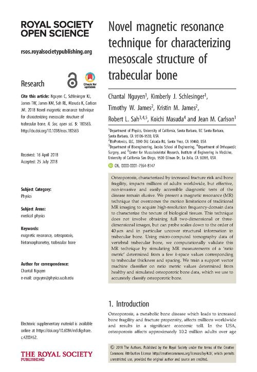 Seamless mirror wallpaper pattern — Medicine by wallpaper⁶ — base photo: File:Novel magnetic resonance technique for characterizing mesoscale structure of trabecular bone.pd