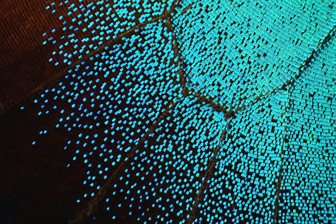 Entomology Kaleidoscope wallpaper pattern — base photo: Butterfly wing. Photographed with an OM System TG-7 in microscope mode, using an FD-1 diffuser, then
