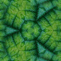 Seamless hex wallpaper pattern — Geometry by wallpaper⁶