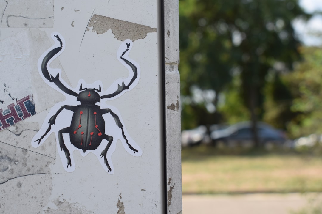 Entomology Hexagon wallpaper pattern — base photo: black and red beetle on white wooden frame