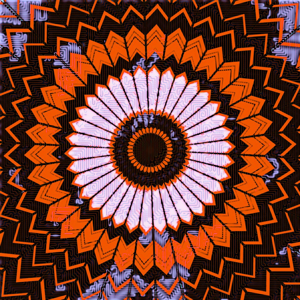 A black and white Op-Art pattern with radial kaleidoscope symmetry creating a swirling, hypnotic geometric vortex. — base photo: A sharp, high-resolution graphic study of alternating black and white curved lines organized in a di